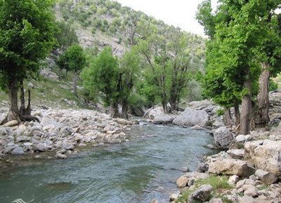 تنگ هونی